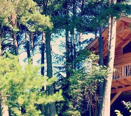 Les Cabanes Des Pins Sylvestres แซ็ง-มาร์แต็ง-เวซูบี ภายนอก รูปภาพ