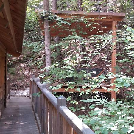 Les Cabanes Des Pins Sylvestres แซ็ง-มาร์แต็ง-เวซูบี ภายนอก รูปภาพ