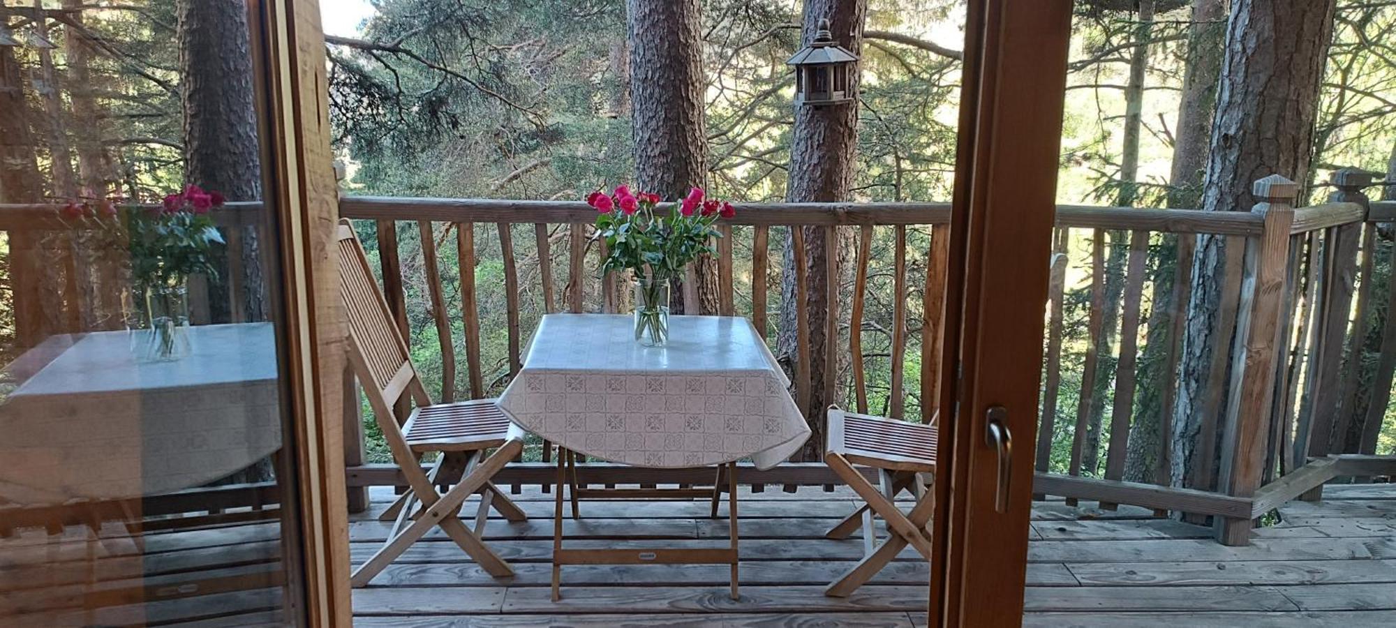 Les Cabanes Des Pins Sylvestres แซ็ง-มาร์แต็ง-เวซูบี ภายนอก รูปภาพ