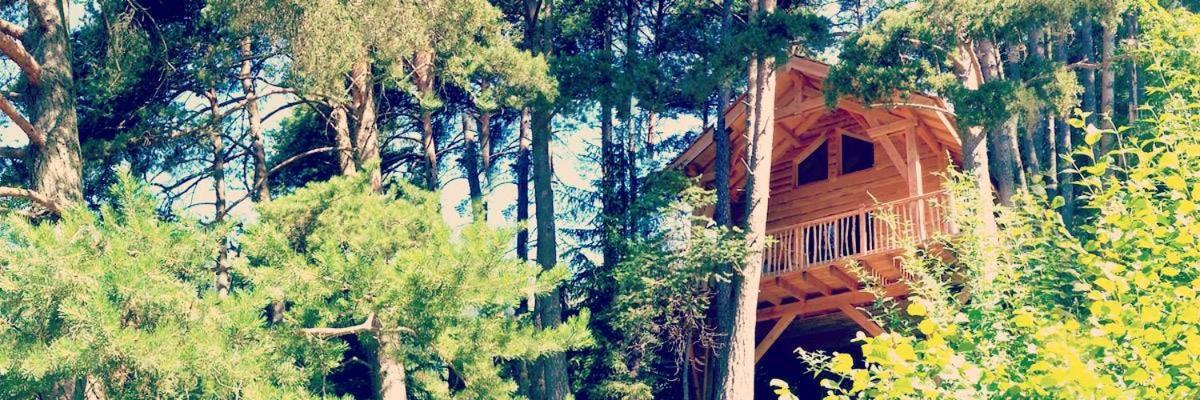 Les Cabanes Des Pins Sylvestres แซ็ง-มาร์แต็ง-เวซูบี ภายนอก รูปภาพ