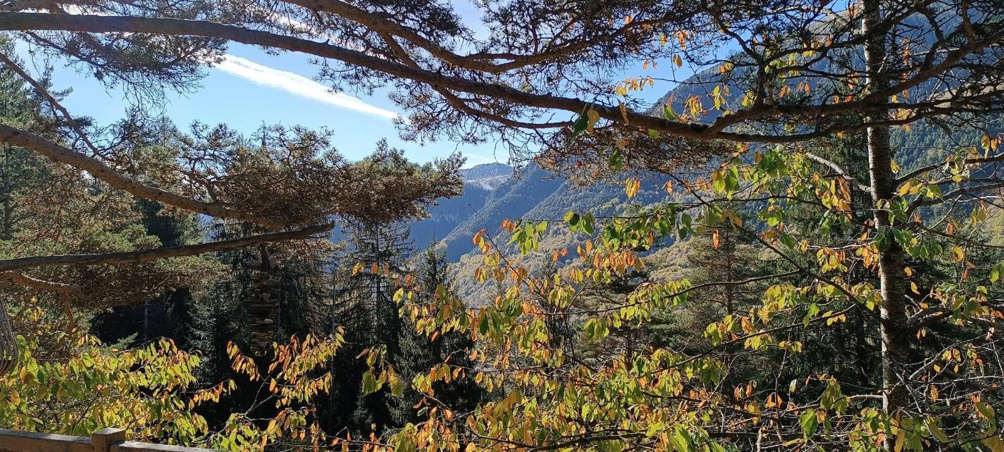 Les Cabanes Des Pins Sylvestres แซ็ง-มาร์แต็ง-เวซูบี ภายนอก รูปภาพ